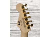 charvel-pro-mod-dk24-hh-ht-m-figured-walnut-natural_5f19ac7b866f6.jpg