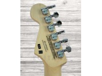 charvel-pro-mod-dk24-hss-fr-specocean_5ef0c29460318.jpg