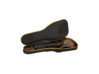 charvel-pro-mod-plus-dinky-dk24-hss-2pt-eb-qm-amber-tiger-eye_6a70ceeaea544.jpg