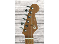 charvel-rick-graham-signature-mj-dk24-2pt-cm_626139a748e15.jpg