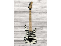 charvel-satchel-signature-pro-mod-dk22-hh-fr-m-maple-fingerboard-satin-white-bengal_6436b3f49a62f.jpg