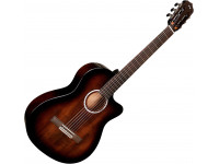 cordoba-fusion-5-sonata-burst_60783f02903c2.jpg