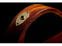 cordoba-stage-artist-agave-burst_6a730dbf8fb7b.jpg