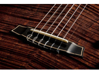 cordoba-stage-artist-habano-burst_6a730fe9ba7b5.jpg