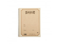 daddario-caderno-pautado-espiral-archives-manuscript-b10s-48_600afa1403d8c.jpg