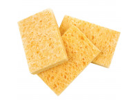 daddario-gh-rs_600ab04c805d5.jpg