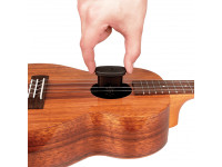 daddario-uhp-ukulele-humidifier-pro_601c2ee536498.jpg