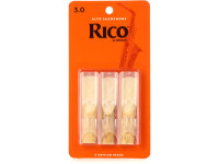 daddario-woodwinds-rico-alto-sax-30_628cf376d4af8.jpg