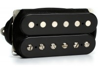 dimarzio-dp103-bk-36th-ann_5edf47c129136.jpg