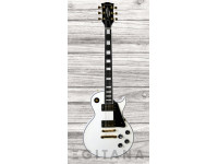 edwards-japan-esp-e-lp-130cd-white_637ce2267177c.jpg
