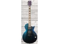 esp-ltd-ec-1000-vland_60929ff49b826.jpg