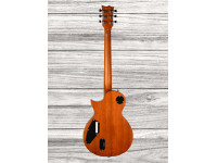 esp-ltd-ec-1000t-honey-burst-satin_6422a5fe922cf.jpg