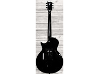 esp-ltd-gh-600-gary-holt_603f5d1f16886.jpg