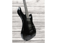 esp-ltd-kirk-hammett-602_641ddc324a6ac.jpg
