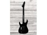 esp-ltd-kirk-hammett-602_641ddc34519d7.jpg