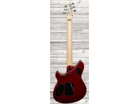 evh-wolfgang-special-car_5f16bd20397ca.jpg