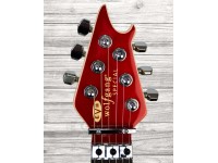 evh-wolfgang-special-car_5f16bd214c755.jpg