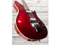 evh-wolfgang-special-car_5f16bd224fa5a.jpg