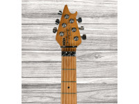 evh-wolfgang-special-qmt-solar_64ba3d970441d.jpg