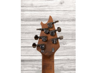 evh-wolfgang-wg-standard-exotic-koa_60afd318045cd.jpg
