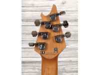 evh-wolfgang-wg-std-exotic-sm_6400730d4fd23.jpg