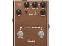 fender-acoustic-preverb_5f8dbe1792192.jpg