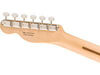 fender-american-performer-telecaster-rosewood-fingerboard-2-color-sunburst_668e8b7d7f1d2.jpg