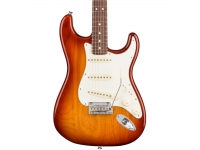 fender-american-pro-stratocaster-rw-ssb-ash_5e30266ec7e30.jpg