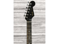 Fender American Ultra LTD Strat EBY TGR