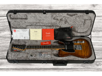 fender-american-ultra-ltd-tele-eby-tgr_65d627f175c86.jpg