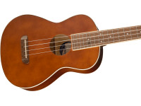 fender-avalon-tenor-ukulele-nat_62b1ecbfaa672.jpg
