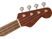fender-avalon-tenor-ukulele-nat_62b1ecc4cd78c.jpg