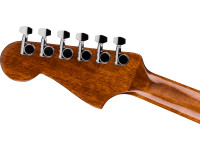 Fender CA STD Redondo CE IPG BLK