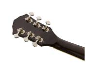 fender-fa-235e-concert-moonlight-burst_5ac358b496320.jpg