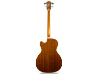 fender-fa-450ce-3tsb-a-bass_606f29290b481.jpg