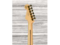 fender-fsr-player-gold-hardware-pau-ferro-fb-3-tone-sunburst_64149dec80220.jpg