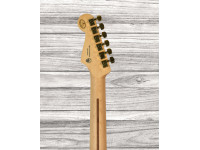 fender-fsr-player-gold-hardware-pau-ferro-fb-3-tone-sunburst_64149df95890c.jpg