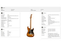 fender-limited-edition-american-ultra-roasted-maple-fingerboard-honey-burst_6682715f4523c.jpg