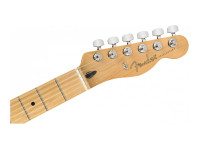 fender-limited-edition-player-burgundy-mist-maple_60880f7011843.jpeg