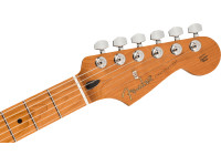 fender-limited-edition-player-st-sss-roasted-maple-neck_64d49ebd43cd7.jpg