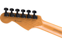 Fender  LTD Am Pro II Strat HSS SMK