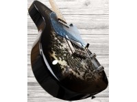 fender-ltd-japan-tele-black-paisley_5f3aad161573d.jpg