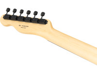 Fender  Monster Hunter Rathalos Tele