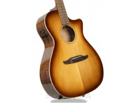 fender-newporter-classic-acb-w-bag_603e518ea31b3.jpg