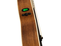 fender-paramount-pm-3ce-triple-0-mahogany-black-top-limited-edition_6181290e6ec8d.jpg
