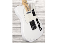 fender-player-series-tele-mn-pwt_63bd93549adf6.jpg
