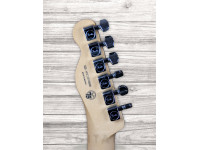 fender-player-series-tele-mn-pwt_63bd93572273a.jpg