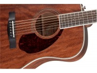 fender-pm-1-std-dreadnought-mah_5feb4e10bc06b.jpg