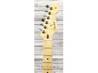 fender-stratocaster-player-ltd-edition-mn-black_6116760e72278.jpg