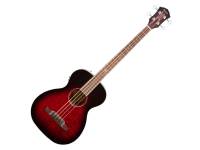 fender-t-bucket-300ce-bass_59c26c5b68850.jpg